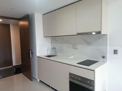 Kopar At Newton (D9), Apartment #581250651